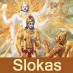 Logo of Bhagavad Gita sloka Recitation android Application 